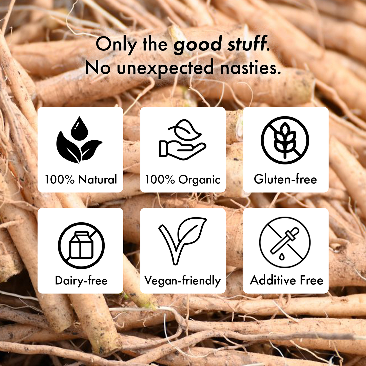 Mental Wealth Complex - Choline, Ashwagandha and Bacopa Monnieri - Vegan