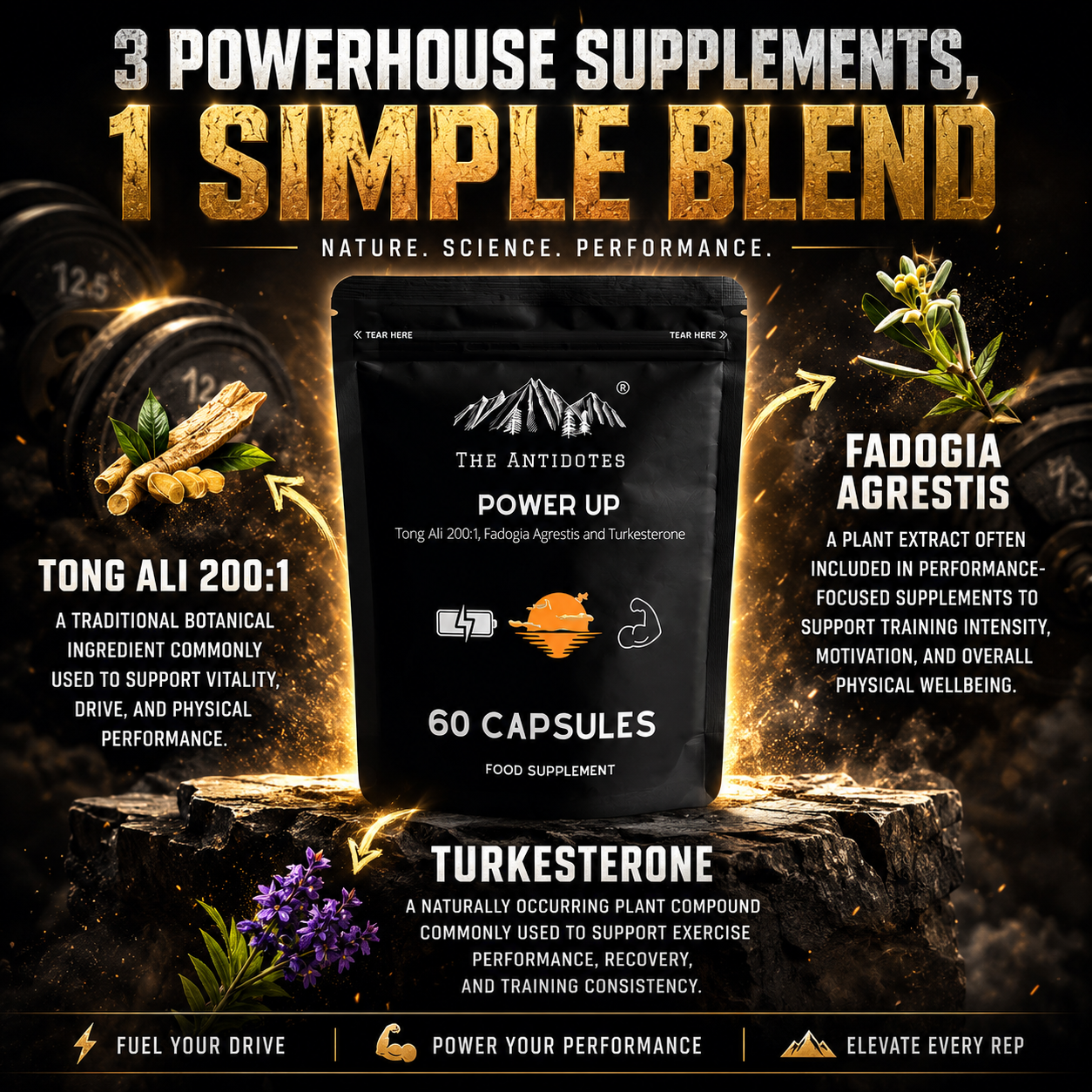 Power Up - Tongkat Ali, Fadogia Agrestis and Turkesterone