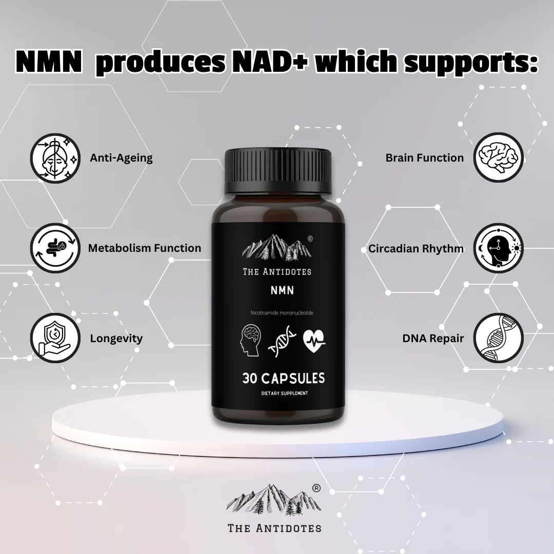 NMN (Nicotinamide Mononucleotide)