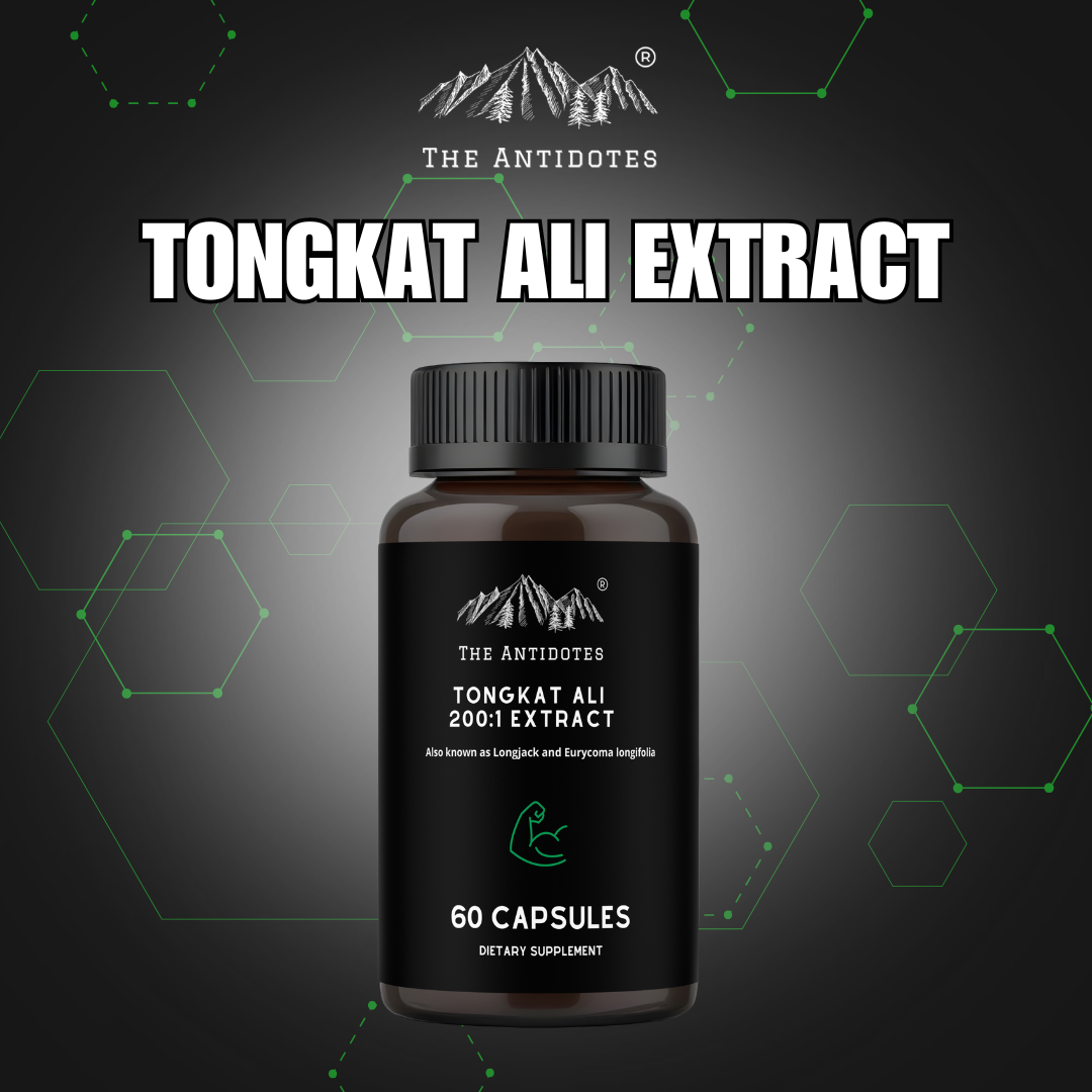 Tongkat Ali