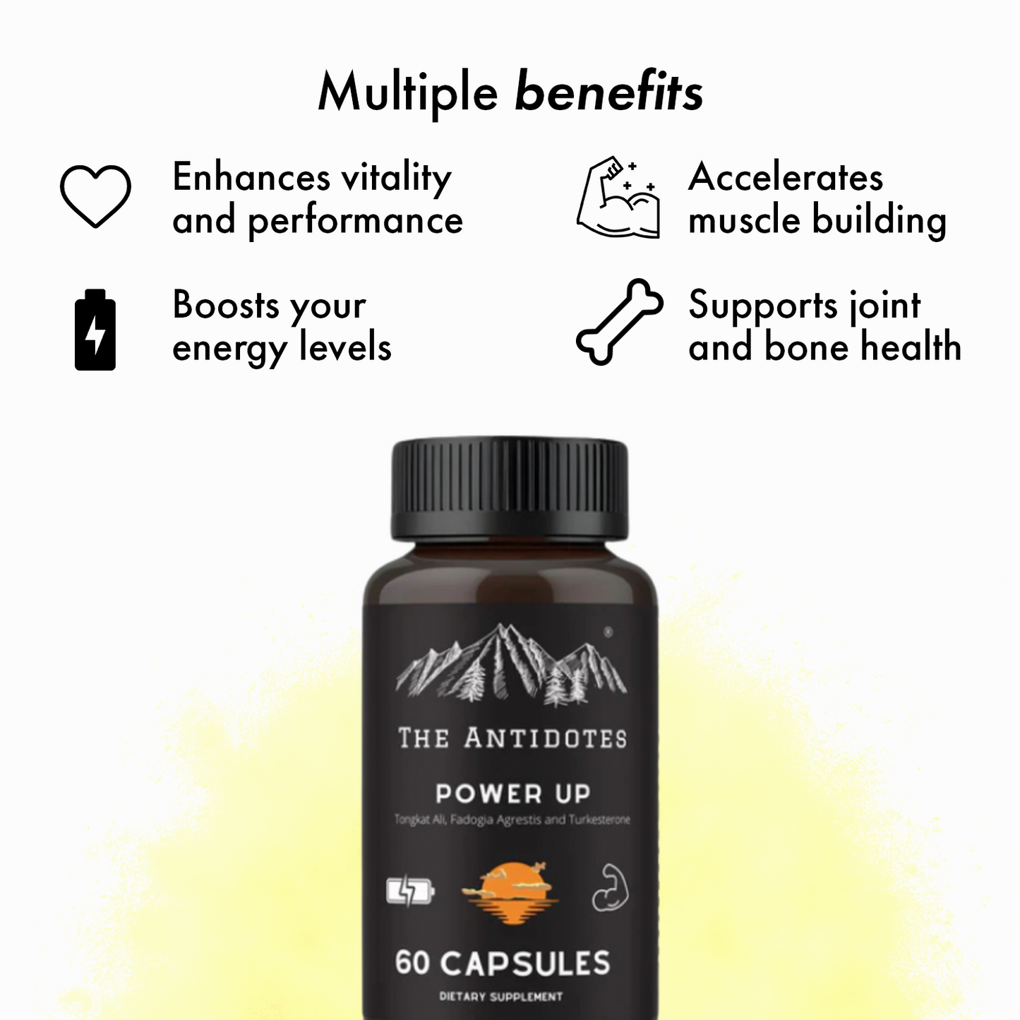 Power Up - Tongkat Ali, Fadogia Agrestis and Turkesterone