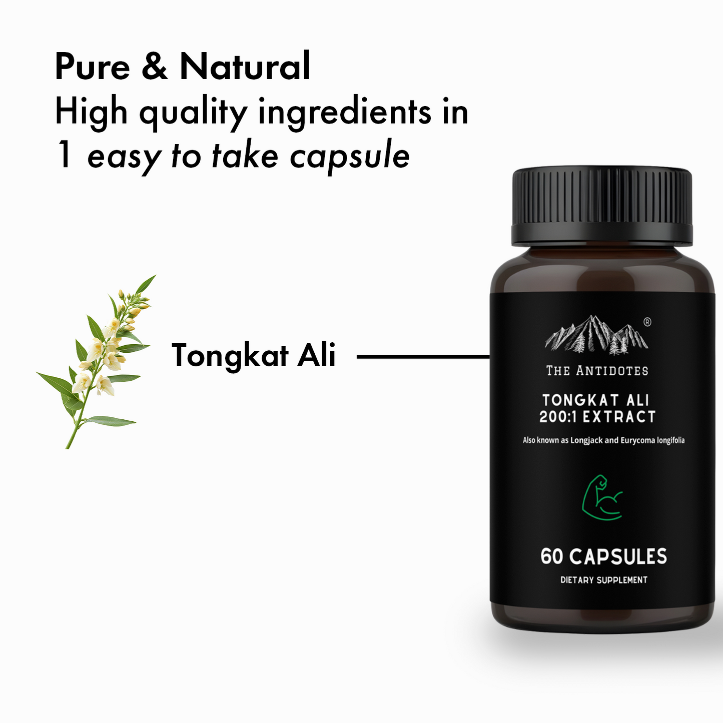 Tongkat Ali