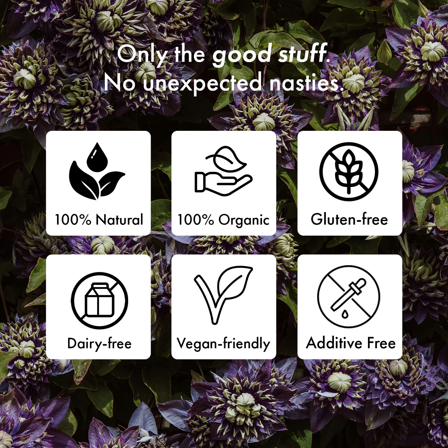 Lights Out - A Natural Sleep Supplement - Vegan