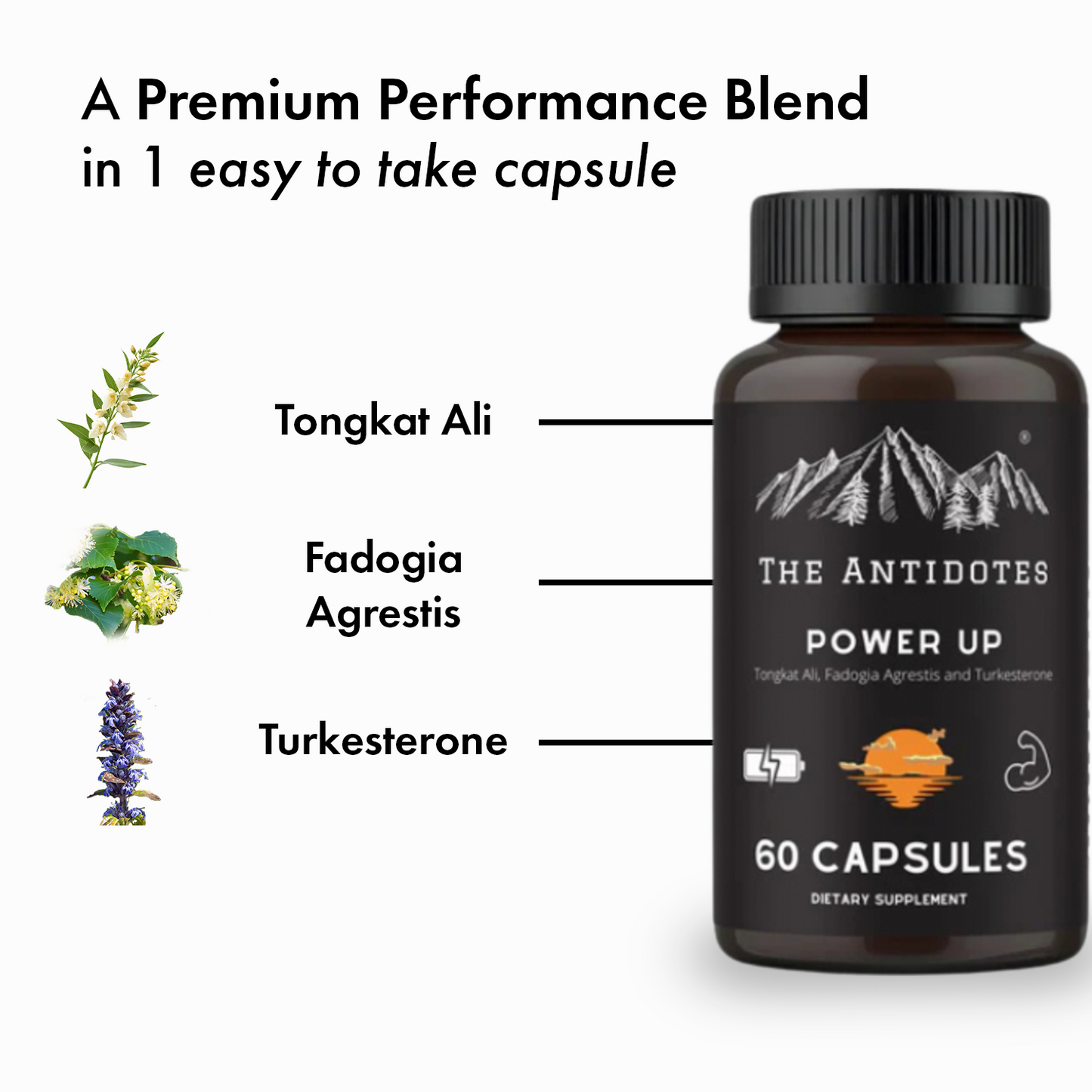 Power Up - Tongkat Ali, Fadogia Agrestis and Turkesterone