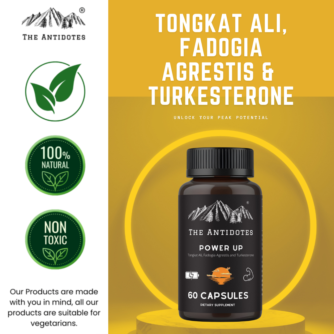 Power Up - Tongkat Ali, Fadogia Agrestis and Turkesterone