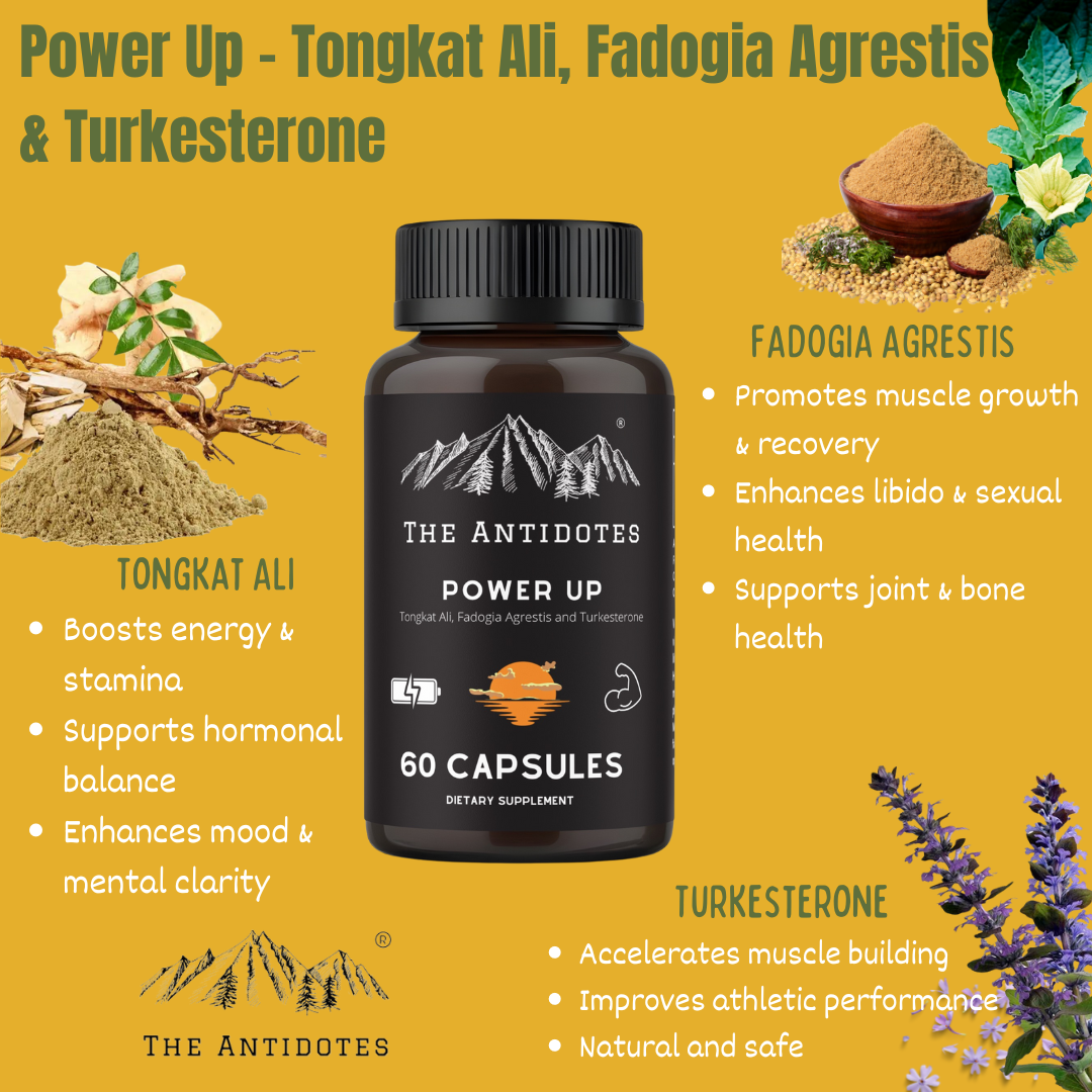 Power Up - Tongkat Ali, Fadogia Agrestis and Turkesterone